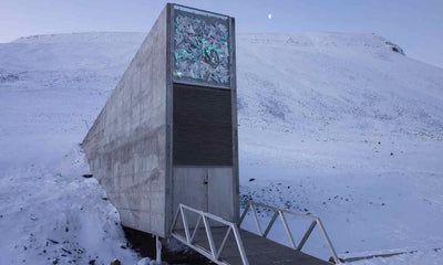 CBS News on the Svalbard Global Seed Vault