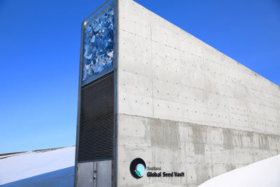 Svalbard's "Doomsday Vault" 10 years