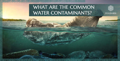 What are the Common Water Contaminants?