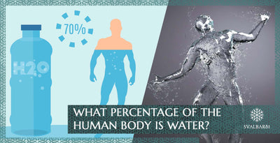 What Percentage of the Human Body is Water?
